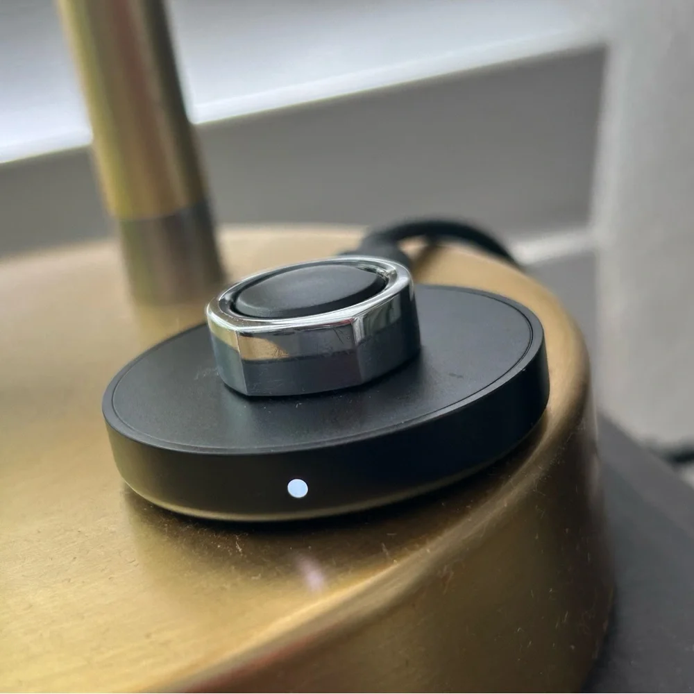 Oura Ring Gen 3 Heritage Silver and Black interior